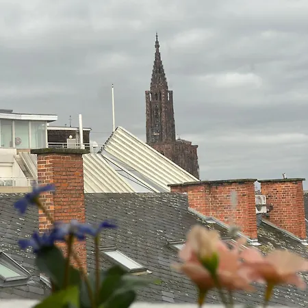 Hyper Centre - - 2min Place Kléber Appartamento Strasburgo